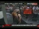mvp in tna mvp in tna