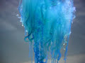 Portuguese Man of War (blue bottle) Portuguese Man of War (blue bottle)