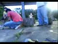 Câmara onboard em aeromodelo - Porto Velho RO