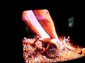 Bert tegu handler (tribute )