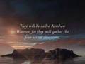 The Rainbow Warriors