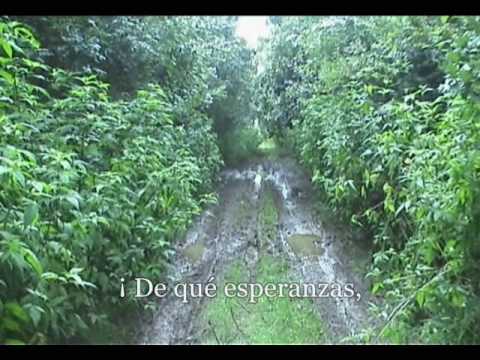 0 Villancicos navideños de Francia: canciones populares