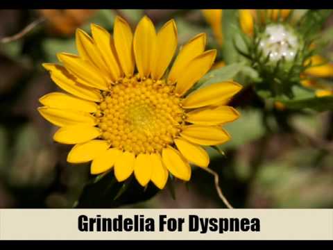 how to relieve dyspnea