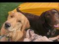 videos de Movie of Photos from Daycare