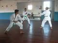 GENSEIRYU,KARATE-DO,NANBEIKAI