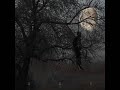  ARV Sleep I.d Avant-garde ambient black metal Norway norwegian