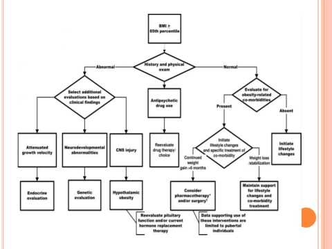 how to provide obesity