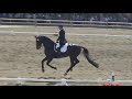 RAVEL & STEFFEN PETERS, GP KUR, U.S. OLYMPIC TRIALS 2008