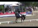 RAVEL & STEFFEN PETERS, GP KUR, U.S. OLYMPIC TRIALS 2008