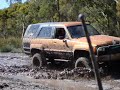 MUD PIGS 4x4 Wol Ohwotafeeln & Malcohol in Medowie Mud NSW