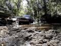 MUD PIGS 4x4 Wol Ohwotafeeln & Malcohol in Medowie Mud NSW