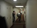 Steve Dominated