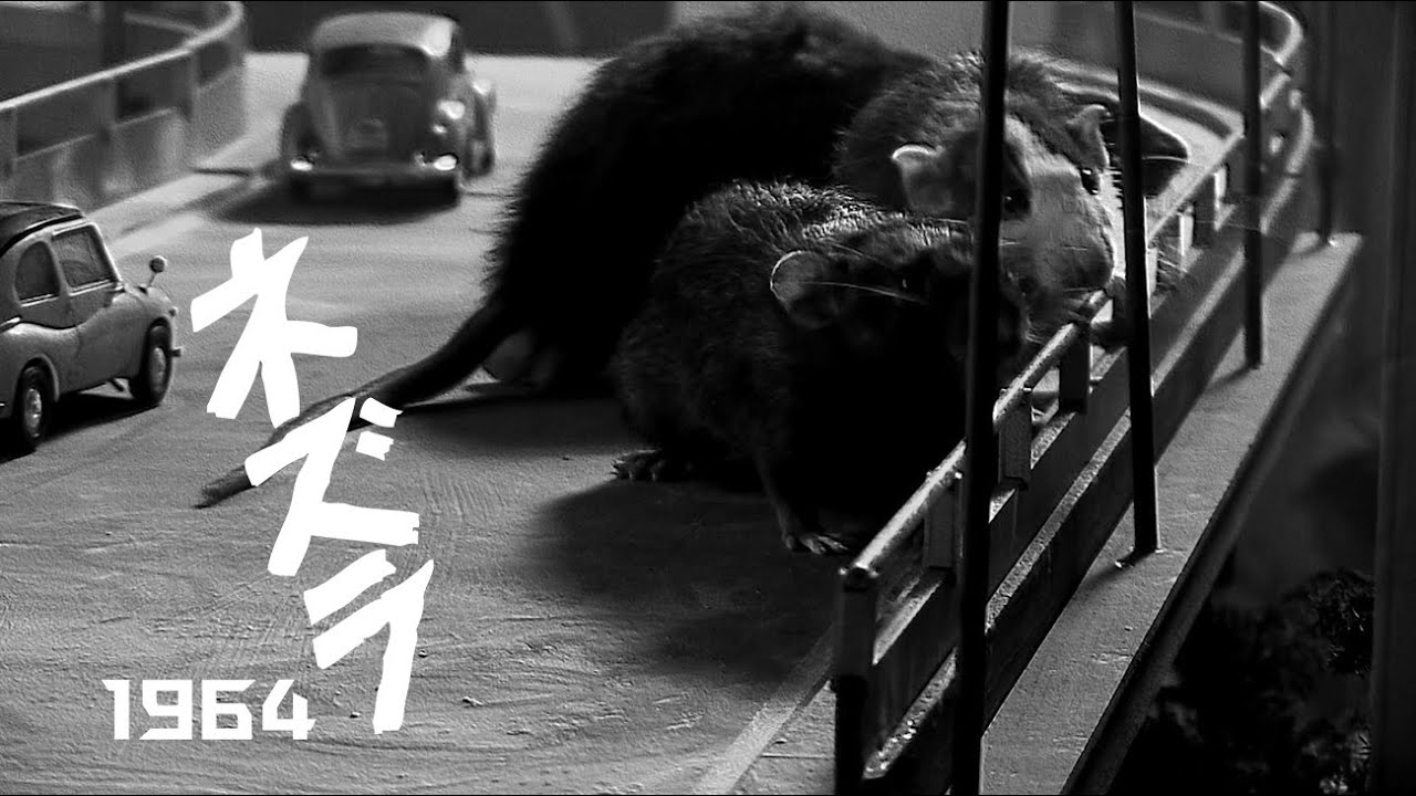 trailer-preview