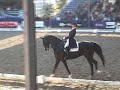 anky van grunsven en salinero