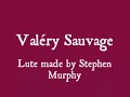 nicolas vallet was a french composer, but live in amsterdam. he wrote very nice music for lute solo and also lute groups.
a short prelude (will be followed by other pieces...)