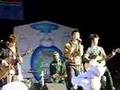 Hippotamus for Christmas-Jonas Brothers