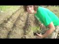 videos de Wellspring 2008: Phil Baugh