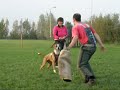 Roxanne van de Boerenhoeve - pakwerk deel 3