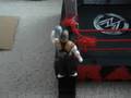 MAWF JEFF HARDY VS CM PUNK STEEL CAGE