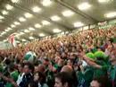 NI Fans NI Fans