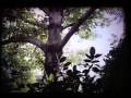 Dhrupad : Selected portion of a broadcast dcoumentary on dhrupad.