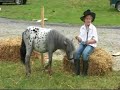 Tinahely Show. Irish Summer Show