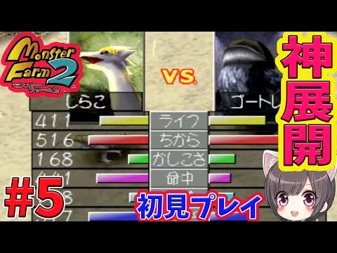 動画