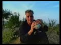 Die Fantastischen Vier - Die Vierte Dimension - #4 (2v3) Die Fantastischen Vier - Die Vierte Dimension - #4 (2v3)