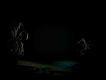 Naiki Video
