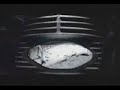 K62 vs RAMMSTEIN - No Links Control (dw4)