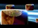 pokerheavencom-all-inestonia-part-2.html