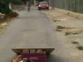 saltikos