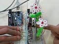 GambleFlower