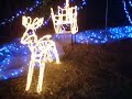 Christmas Illumination 2006. NTT West Kumamoto. 02