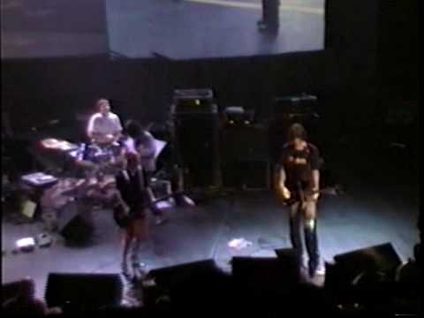 Video de Small Flowers Crack Concrete de Sonic Youth