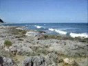 at Xel Ha Manele-Gratis.net