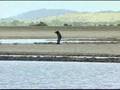 videos de Reserva Raposa Serra do Sol-Jornal da Globo parte 3/3