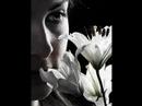 The Veronicas \"Nobody Wins\"