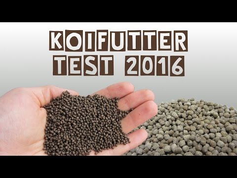 Koifuttertest 2016