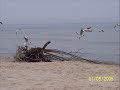 Zaklinanie, czarowanie... Zaklinanie, czarowanie...