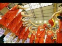Selecci�n espa�ola de baloncesto 2008