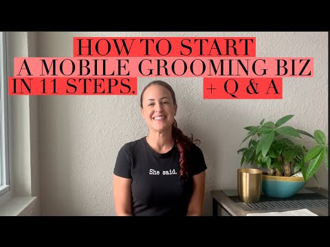 HOW I STARTED MY MOBILE GROOMING BUSINESS IN 11 STEPS + BONUS Q&A  🚐💨 🐶 🐱