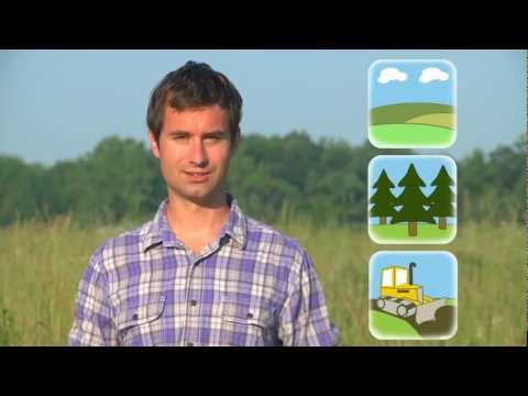 how to control autumn olive