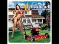 clip video Zebrahead Livin' Libido Loco