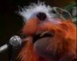 Muppet Show plays Rammstein Engel