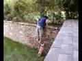 videos de harrison falling on a skateboard