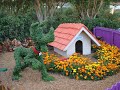 Epcot Flower and Garden Festival W/ some Pixee Dust