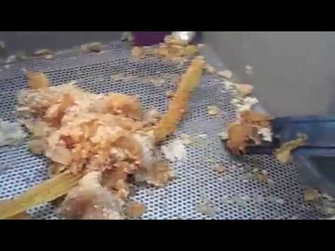 how to harvest honey without an extractor