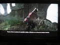 Fable 2 Castellano - Oakvale Maldito Relato de Theresa