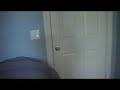 runescape-daniel-tosh.html